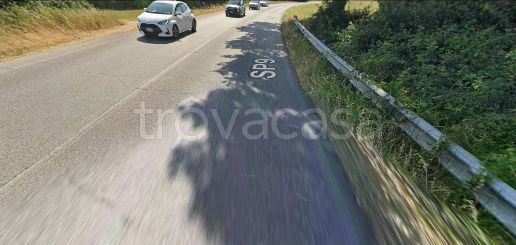 immagine annuncio 9 di 13