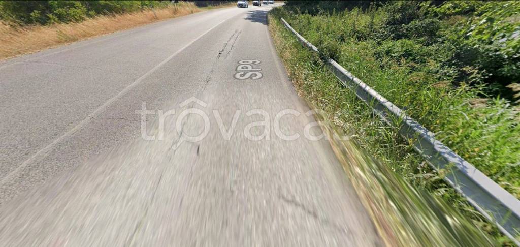 immagine annuncio 11 di 13