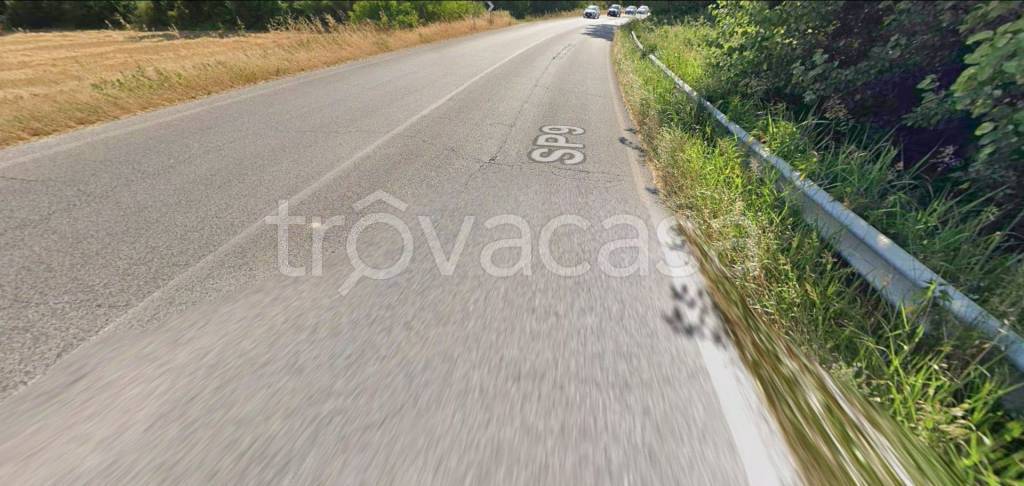 immagine annuncio 12 di 13