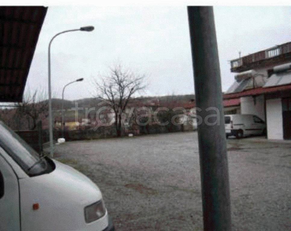 immagine annuncio 2 di 9