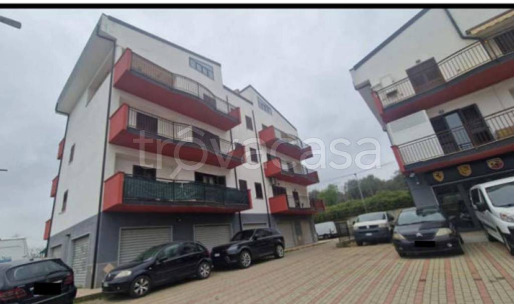 immagine annuncio 2 di 8