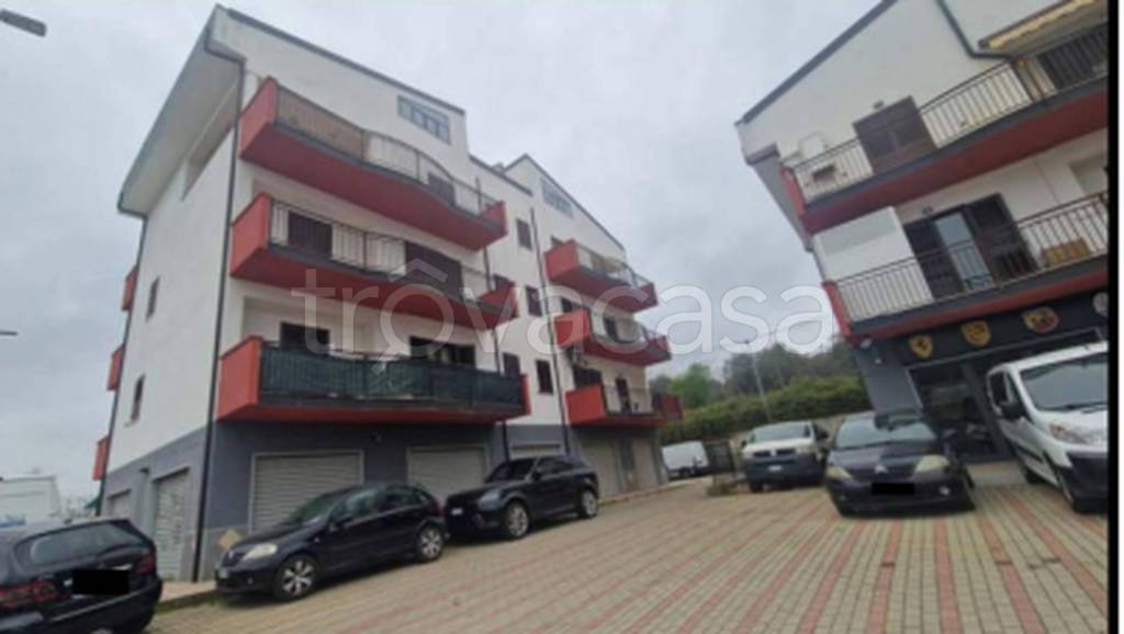 immagine annuncio 4 di 8