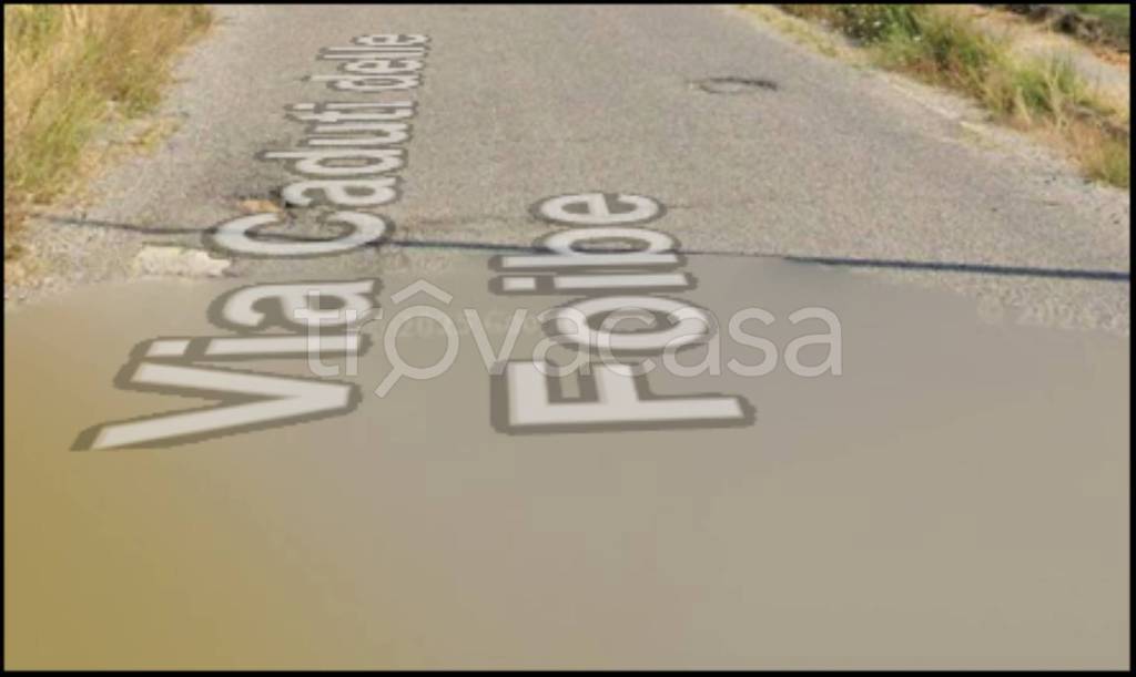 immagine annuncio 4 di 12