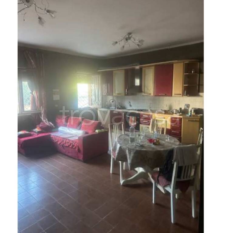 immagine annuncio 5 di 12