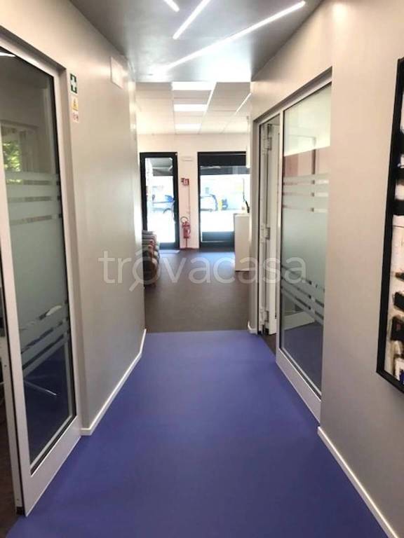 immagine annuncio 5 di 7