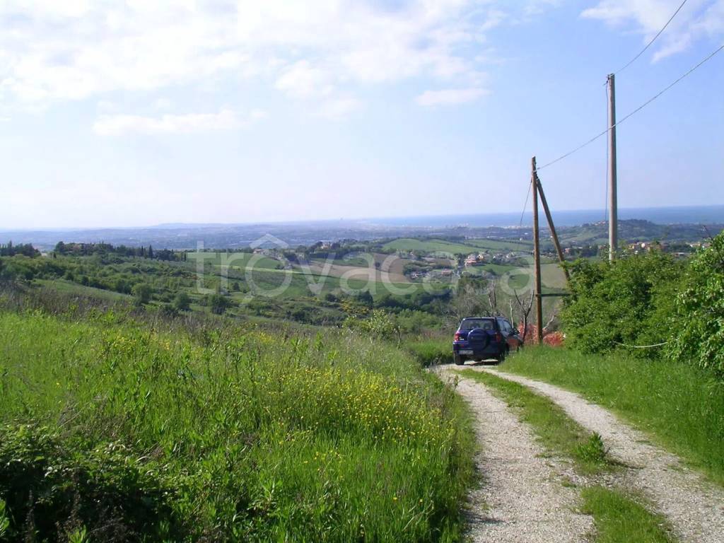 immagine annuncio 6 di 8