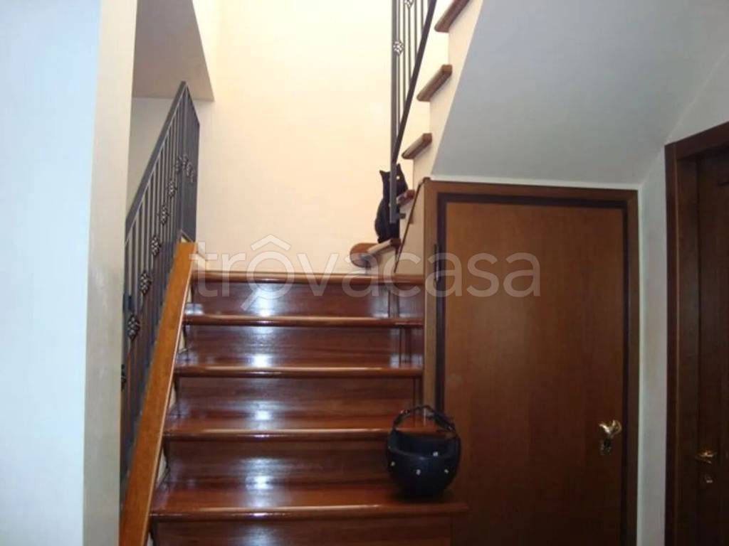 immagine annuncio 9 di 14