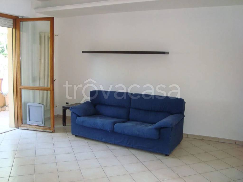 immagine annuncio 3 di 13