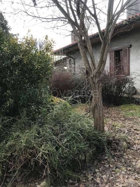 immagine annuncio 5 di 8