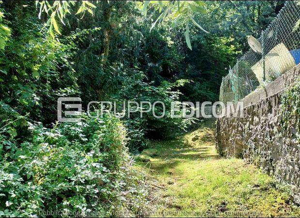 immagine annuncio 9 di 11