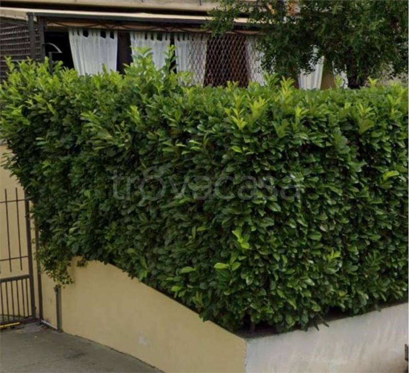 immagine annuncio 5 di 14