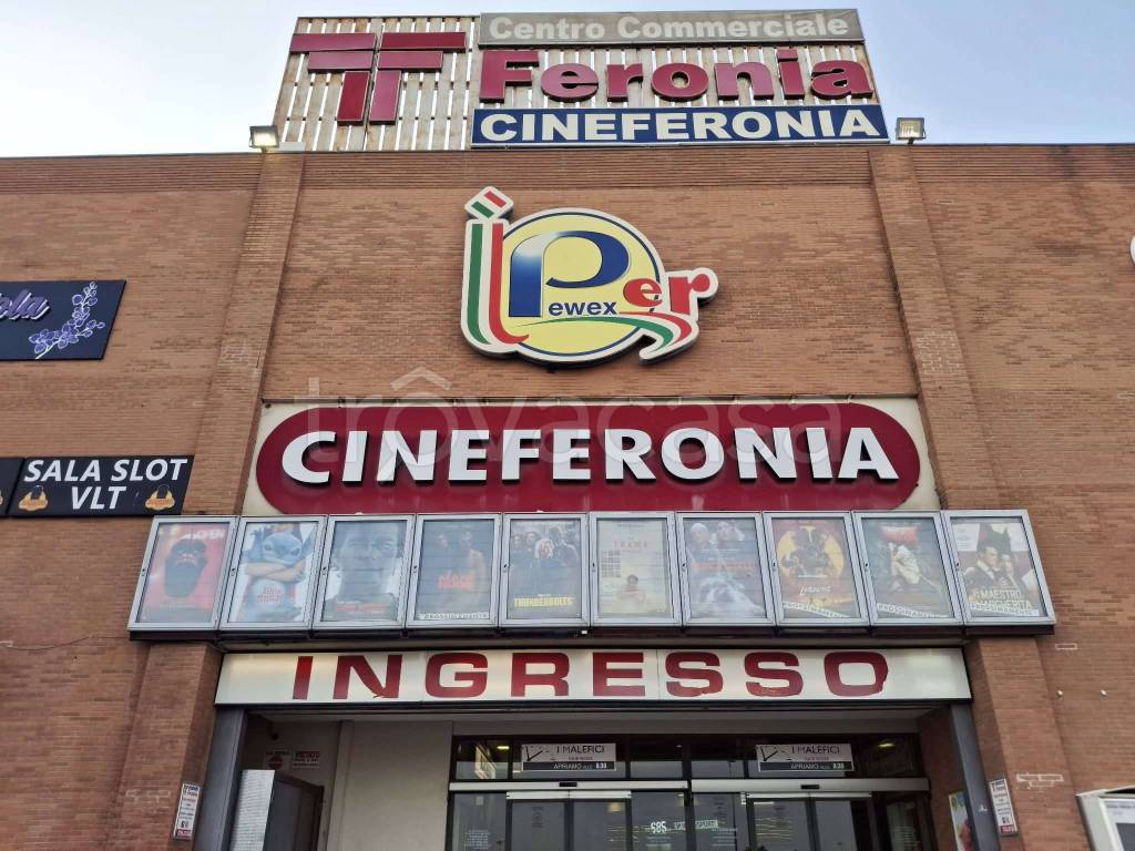 immagine annuncio 6 di 14