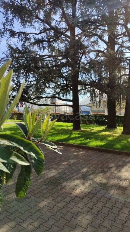 immagine annuncio 1 di 14