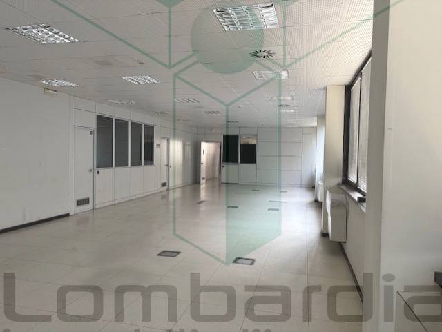 immagine annuncio 2 di 7