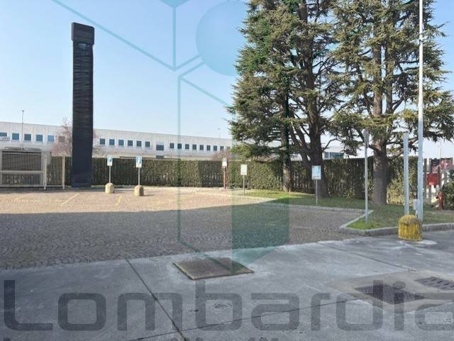 immagine annuncio 3 di 7