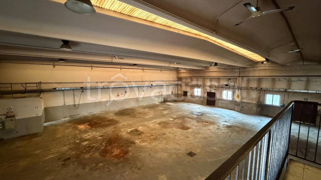 immagine annuncio 9 di 13