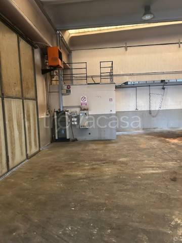 immagine annuncio 7 di 13