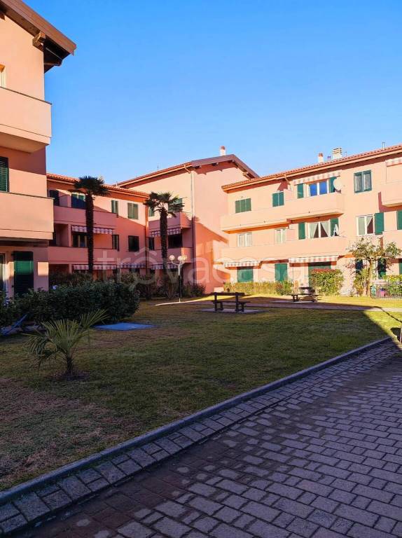 immagine annuncio 3 di 12