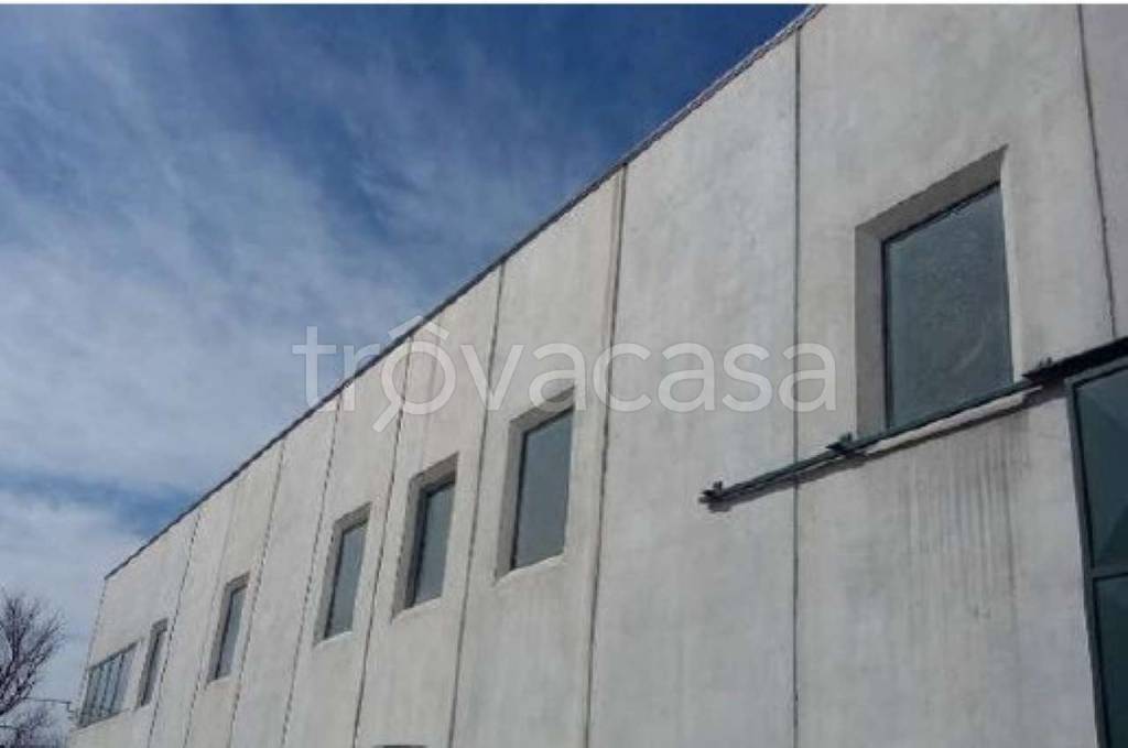 immagine annuncio 1 di 8