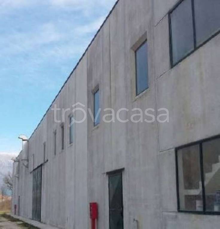 immagine annuncio 2 di 8