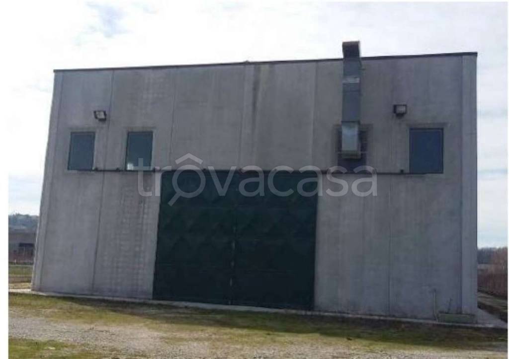 immagine annuncio 3 di 8