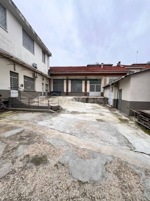 immagine annuncio 1 di 12