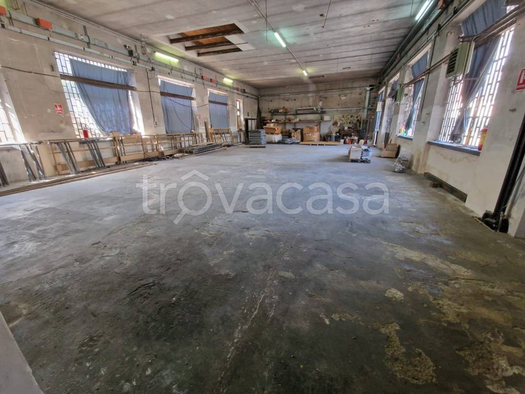 immagine annuncio 2 di 12