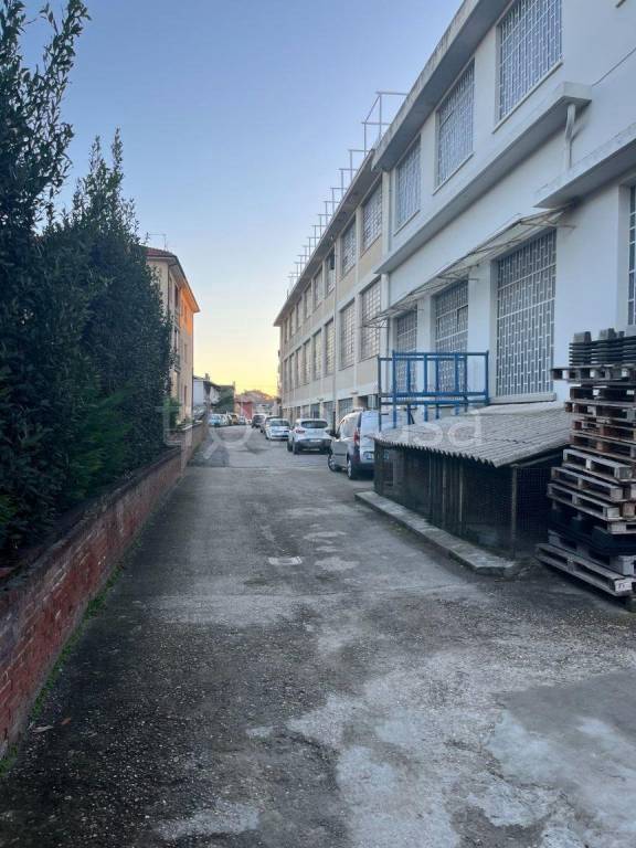 immagine annuncio 11 di 12