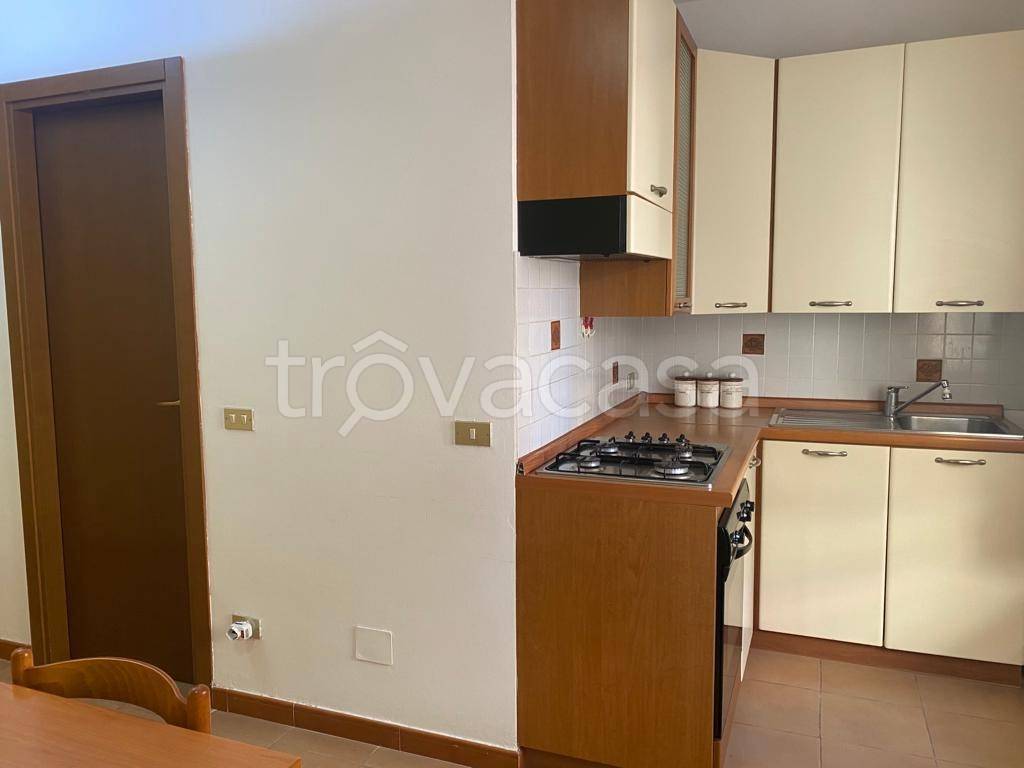 immagine annuncio 5 di 13