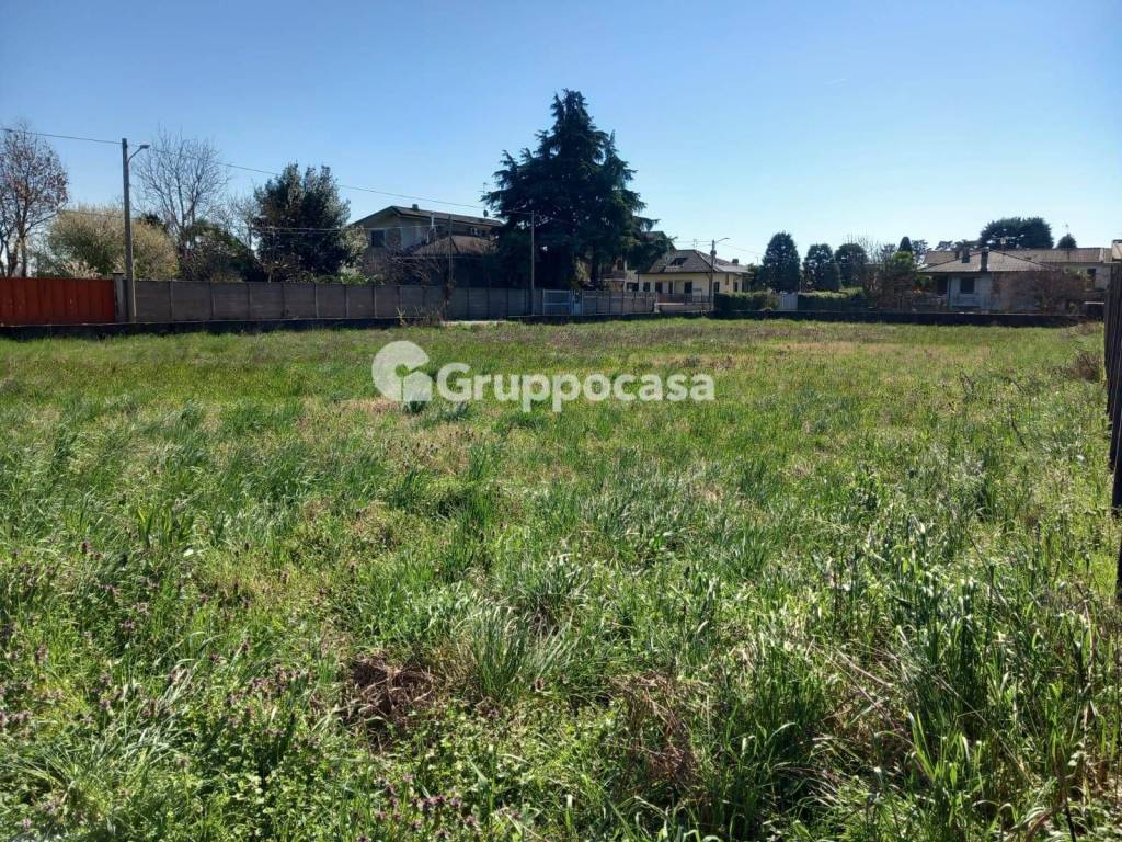 immagine annuncio 3 di 11