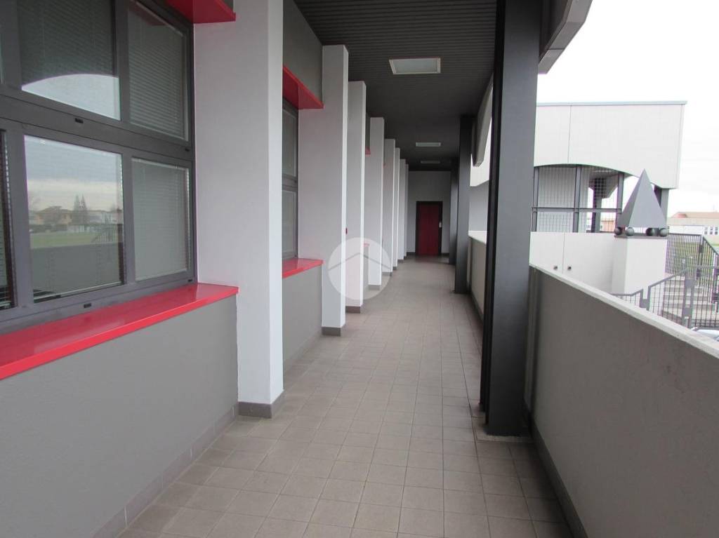 immagine annuncio 12 di 13