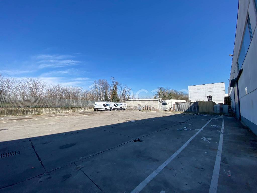 immagine annuncio 11 di 15