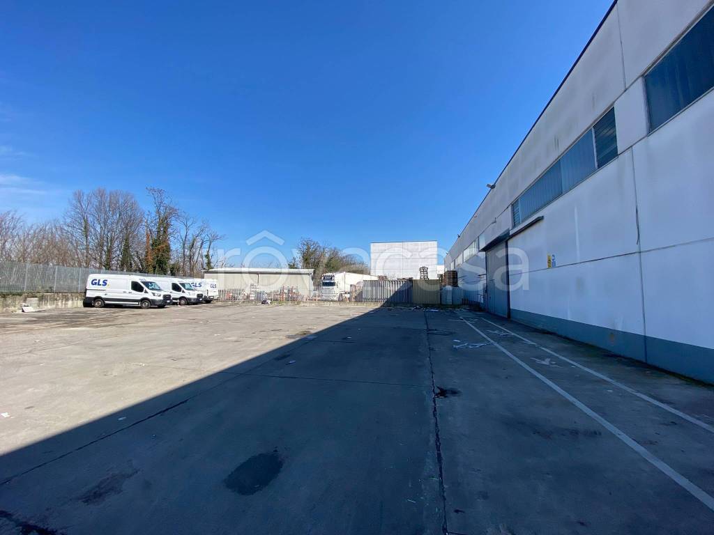 immagine annuncio 13 di 15