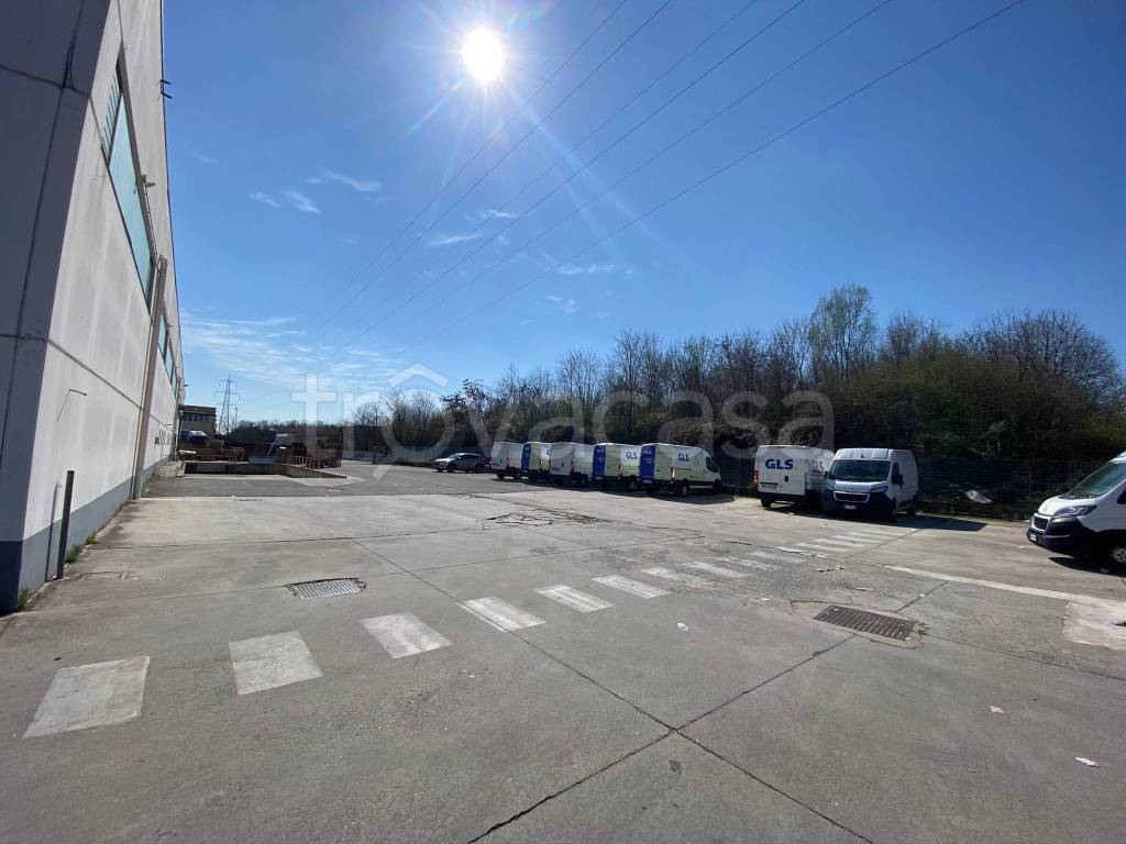 immagine annuncio 10 di 15