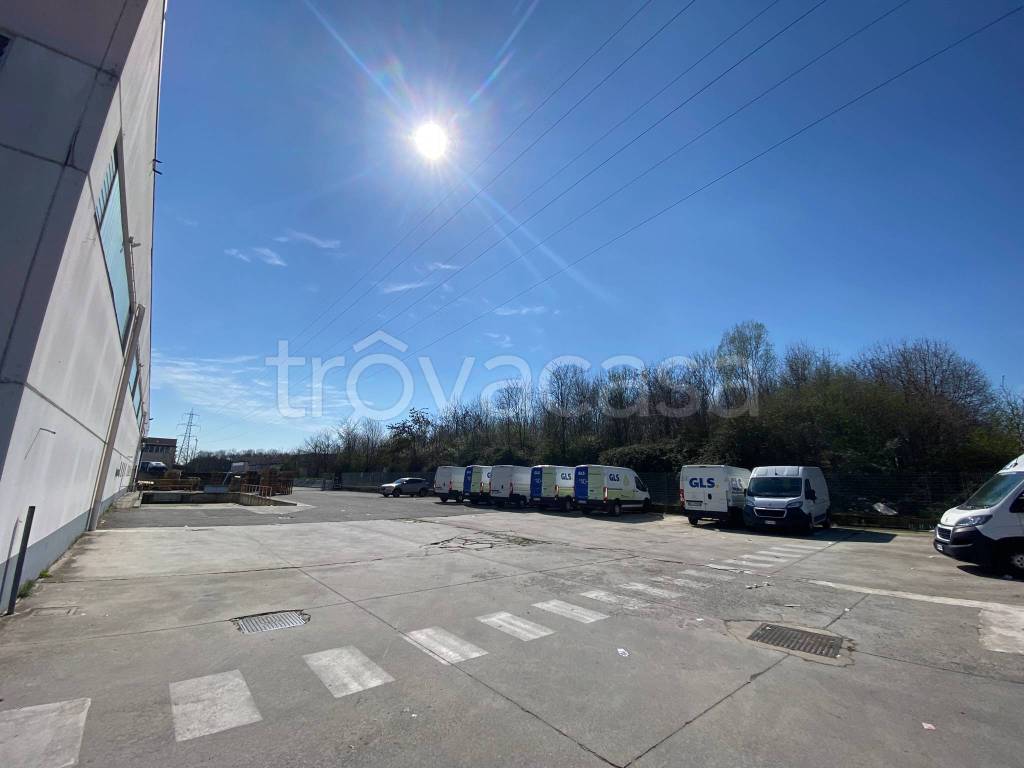 immagine annuncio 12 di 15