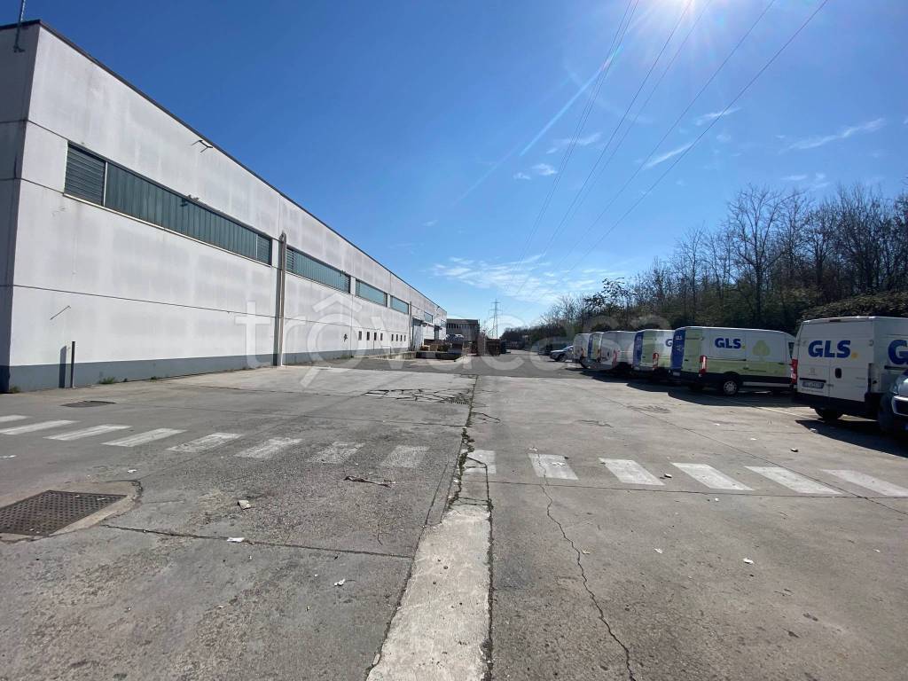 immagine annuncio 2 di 15