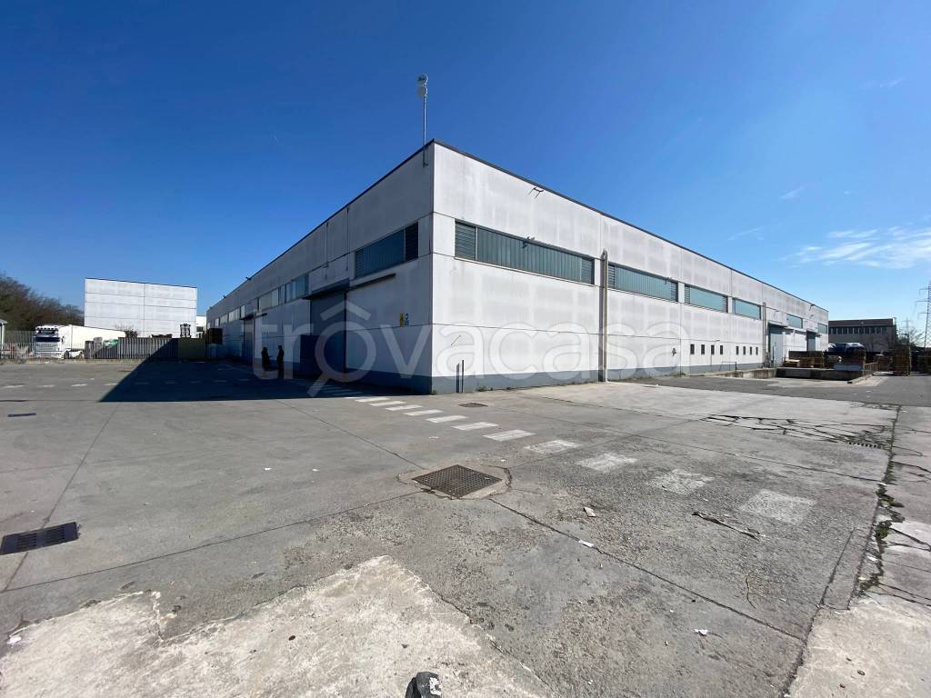 immagine annuncio 7 di 15