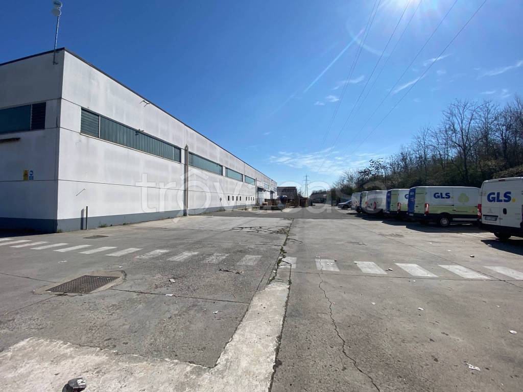 immagine annuncio 3 di 15