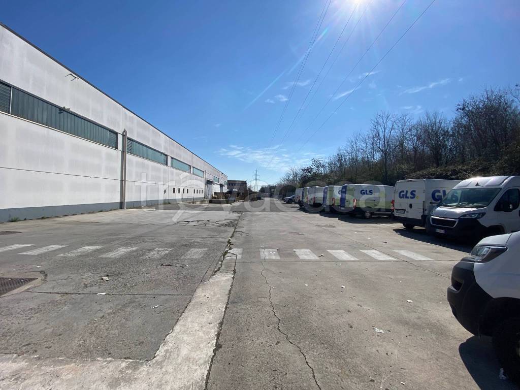 immagine annuncio 4 di 15