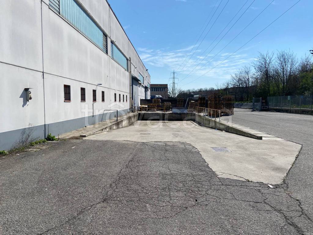 immagine annuncio 8 di 15