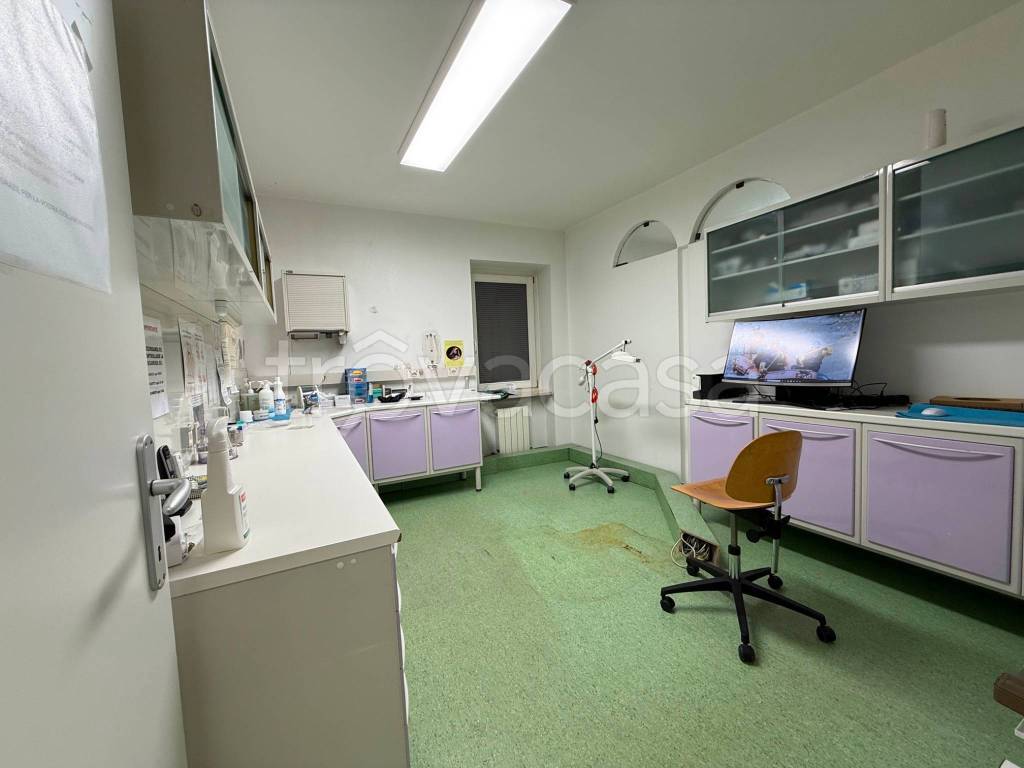 immagine annuncio 7 di 12