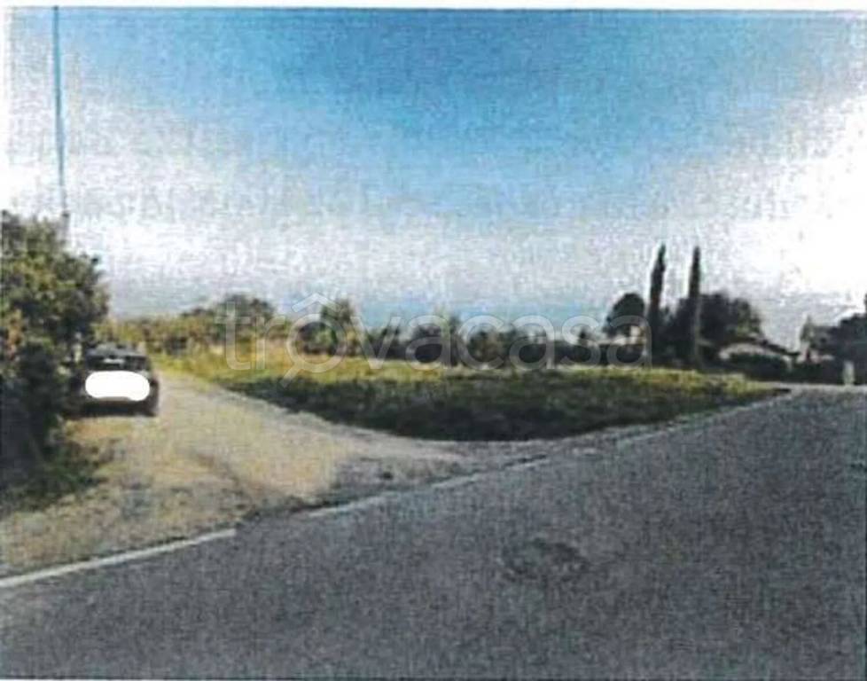 immagine annuncio 10 di 14