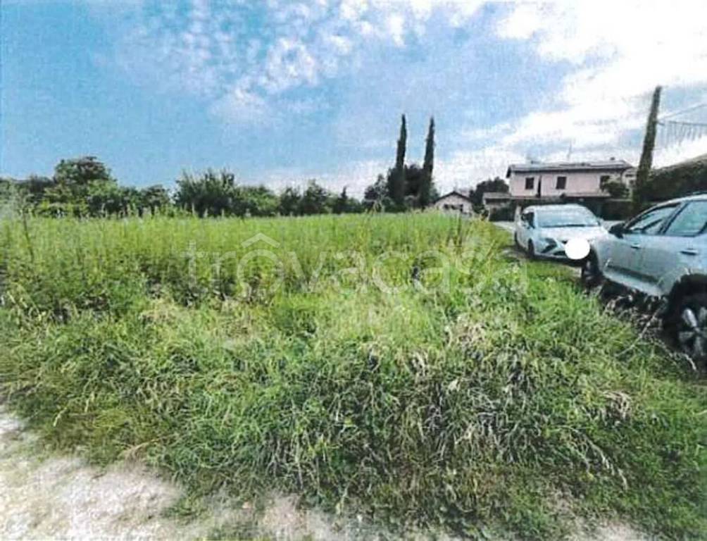 immagine annuncio 12 di 14