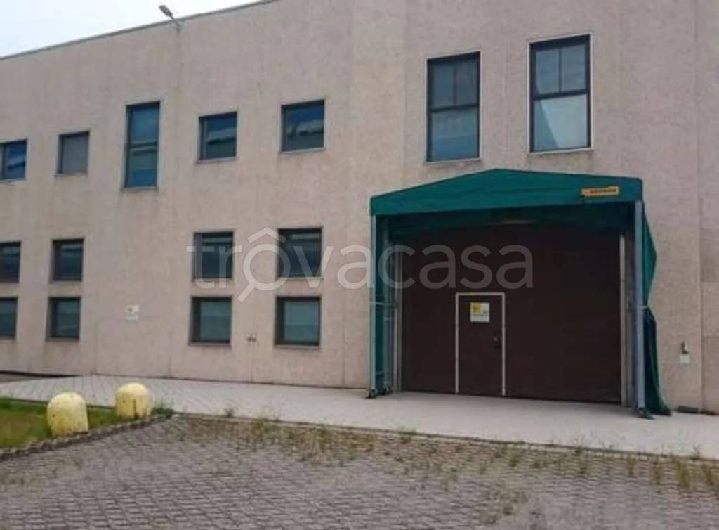 immagine annuncio 1 di 14