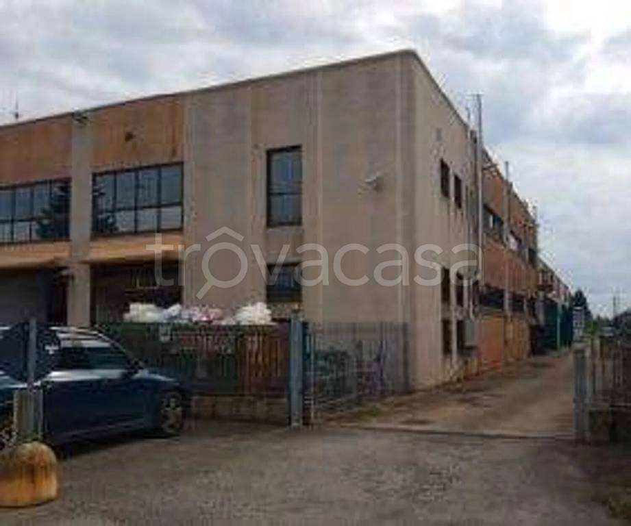 immagine annuncio 3 di 14