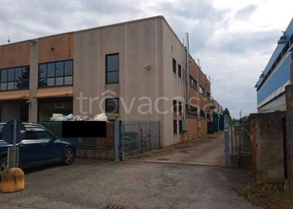 immagine annuncio 4 di 14