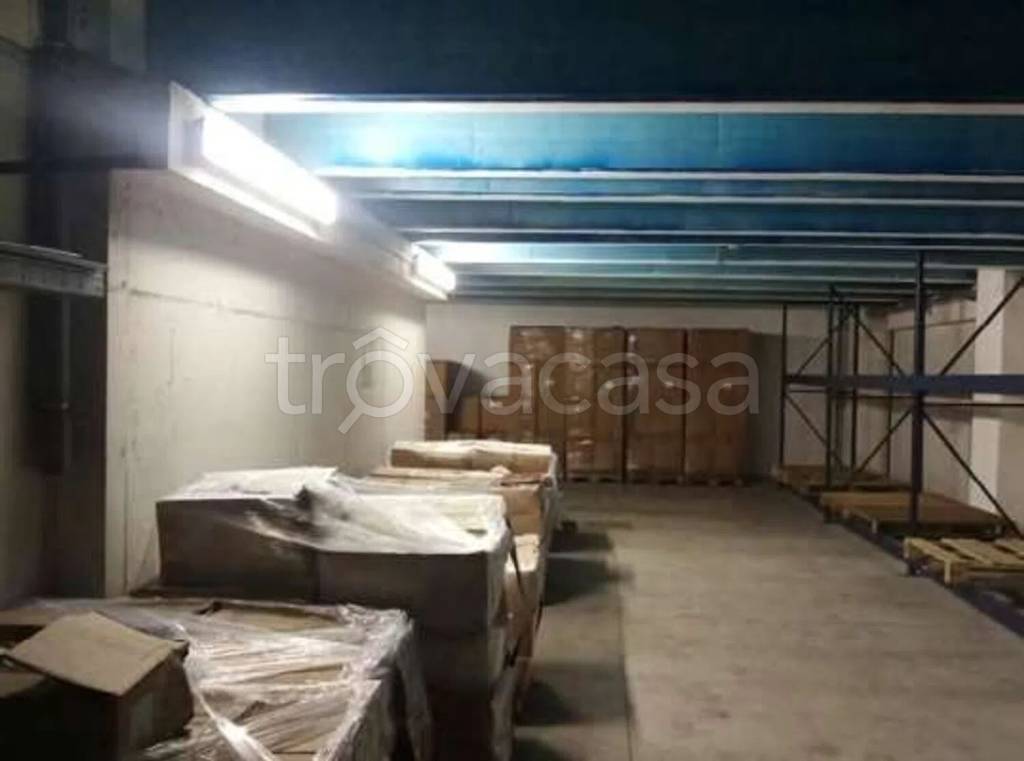 immagine annuncio 7 di 14