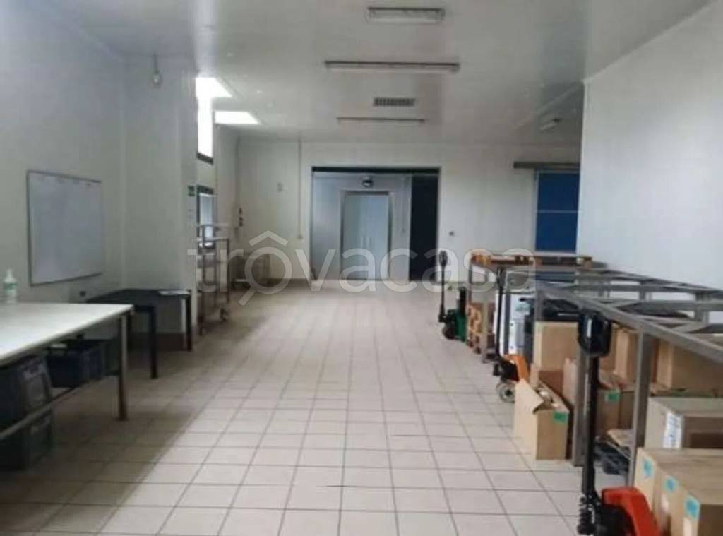 immagine annuncio 8 di 14