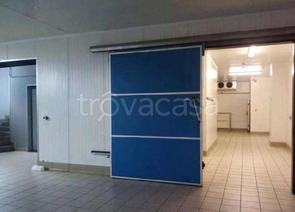 immagine annuncio 10 di 14