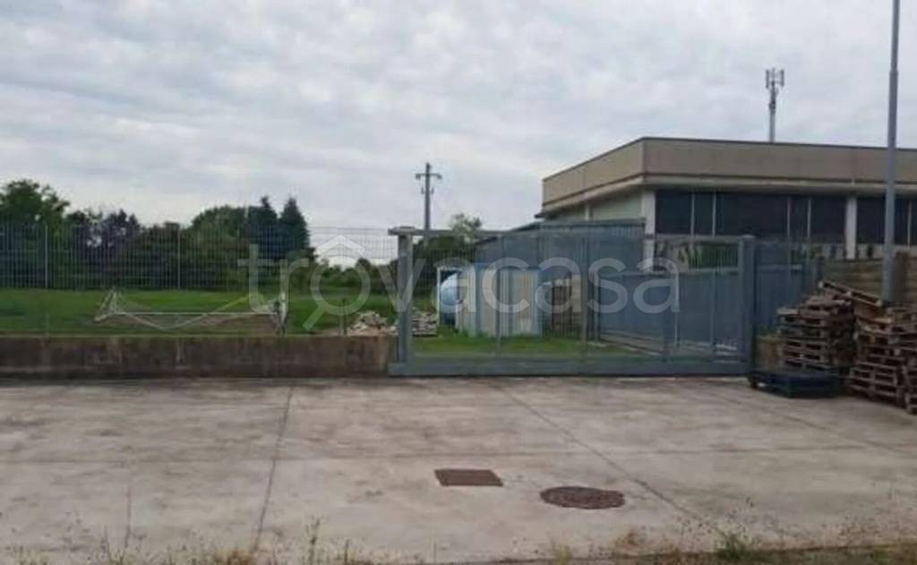 immagine annuncio 11 di 14